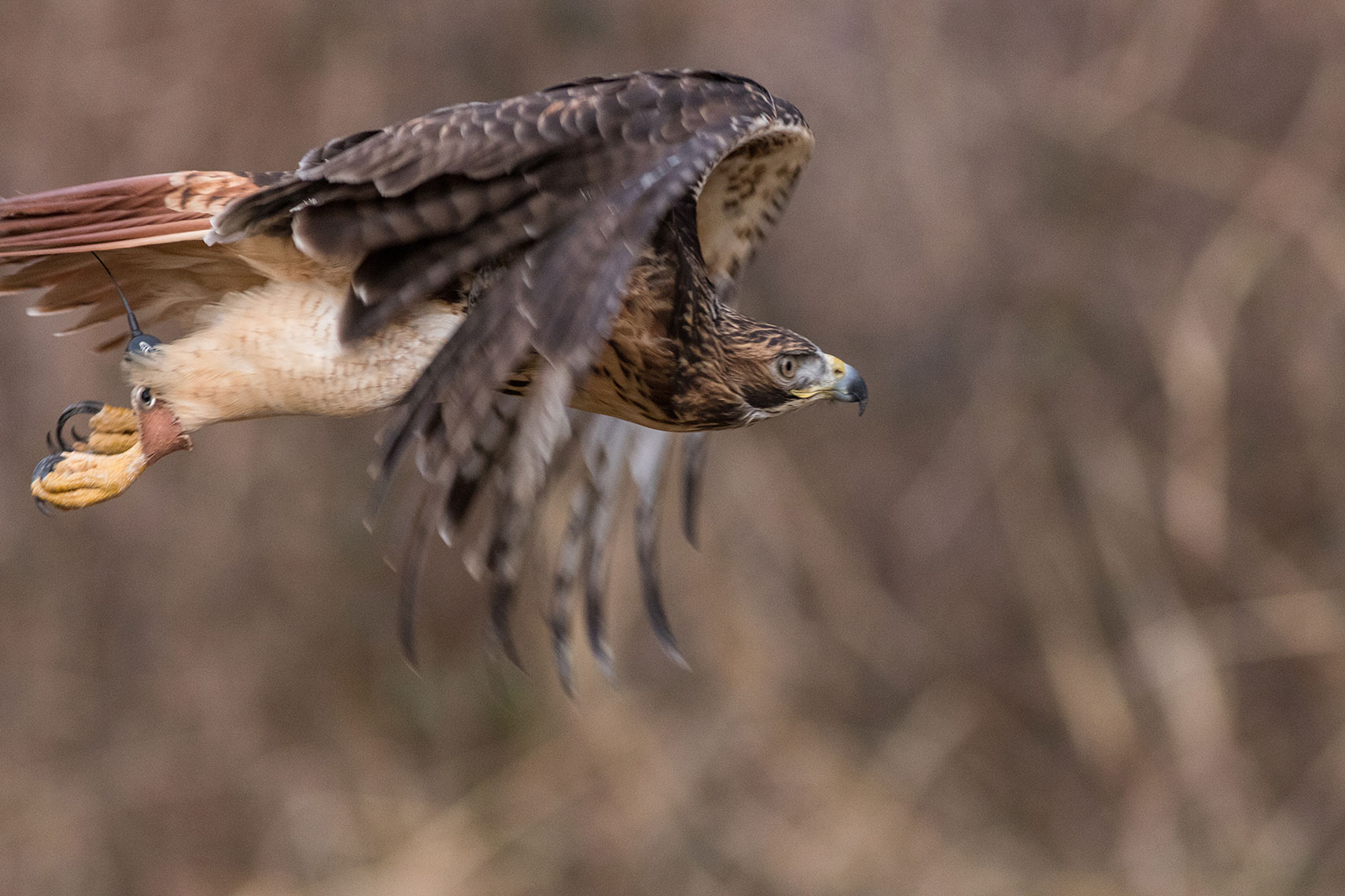 Peter Taylor Photography Editorial, Commercial, Portrait and Food