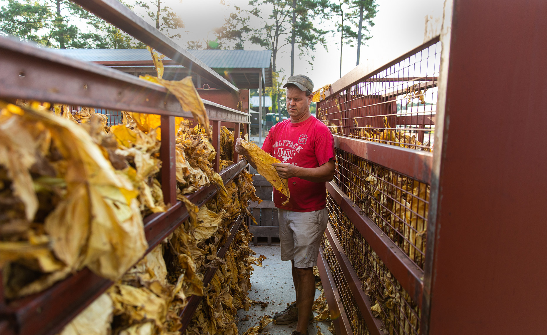 08_10_19_bissette_harvesting_0666